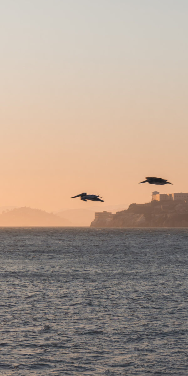 Alcatraz view