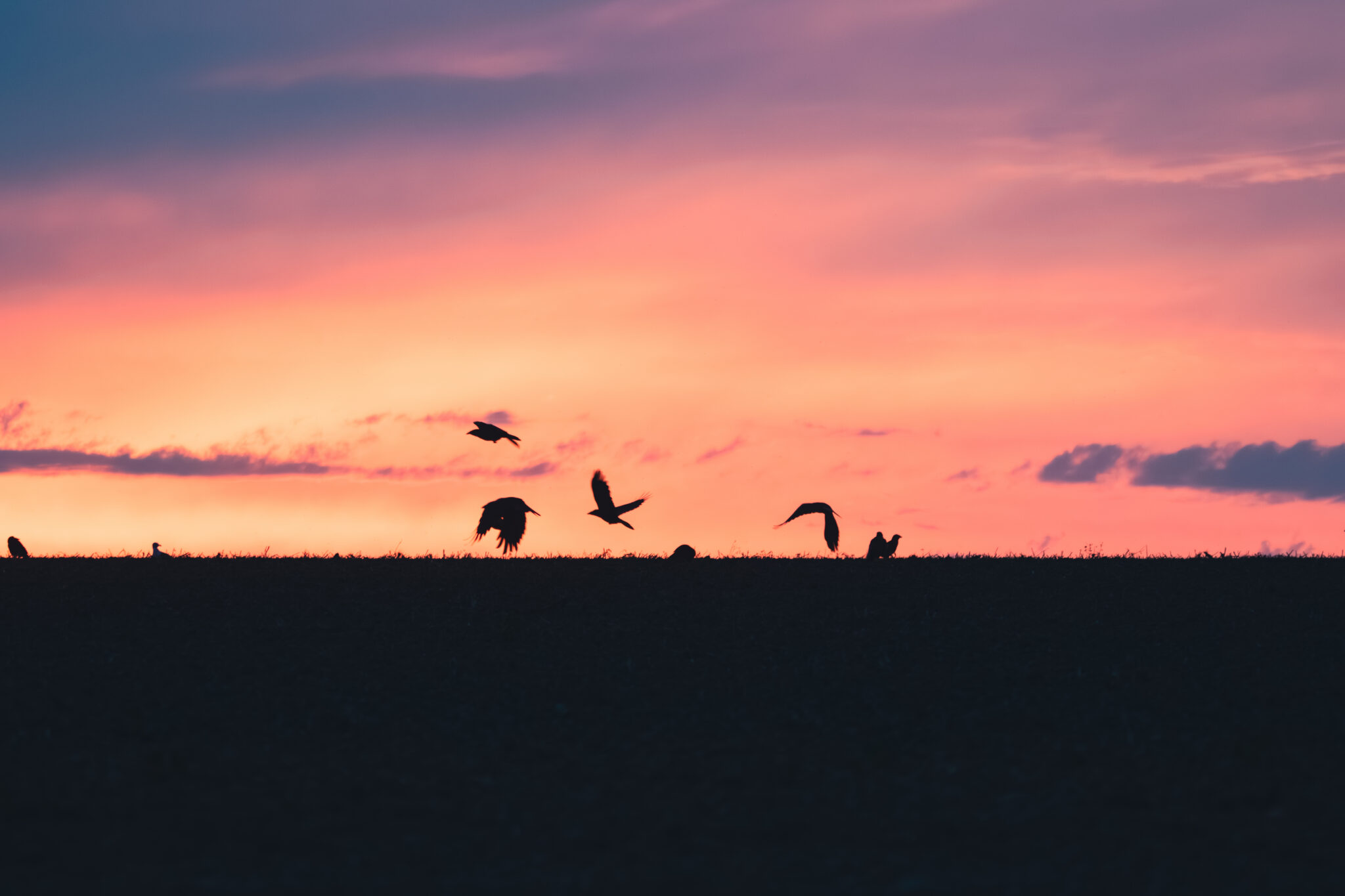 Couché de soleil 